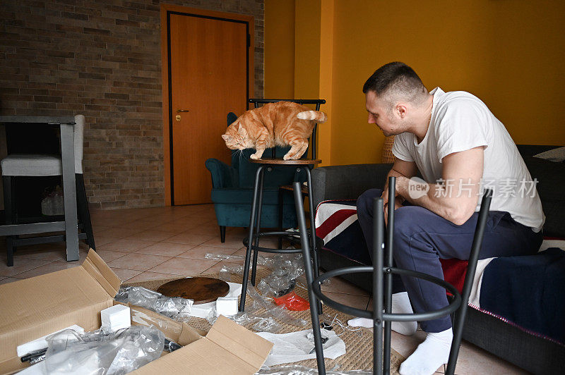 男子在新家组装家具时与家猫玩耍。