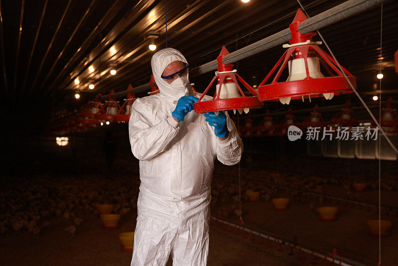 男兽医在家禽饲养场检查鸡饲料及鸡蛋的质量