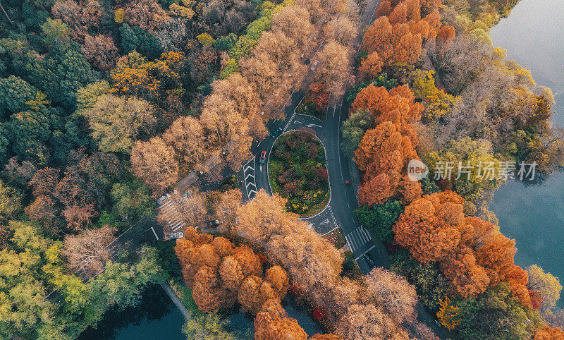 鸟瞰城市道路和秋天的树木在杭州，浙江，中国