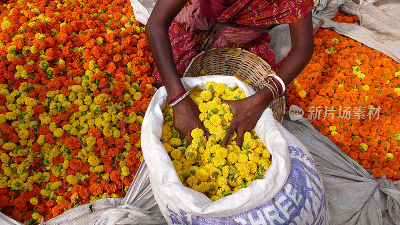 花卉市场。加尔各答。印度