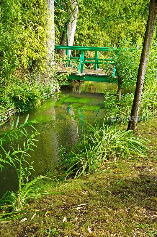 莫奈花园中的桥