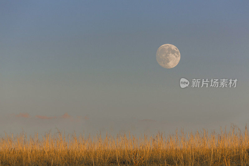 满月升起在草原上