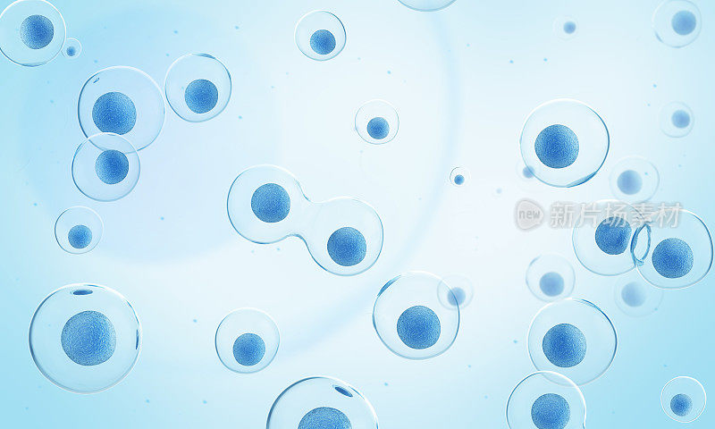 显微镜下的蓝色细胞。