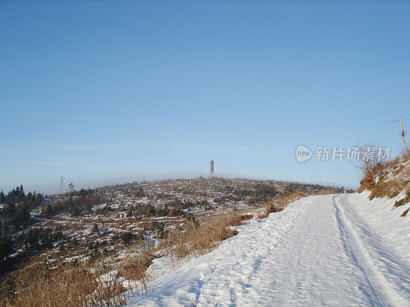 冬天的景观与雪和冷杉在黑森林