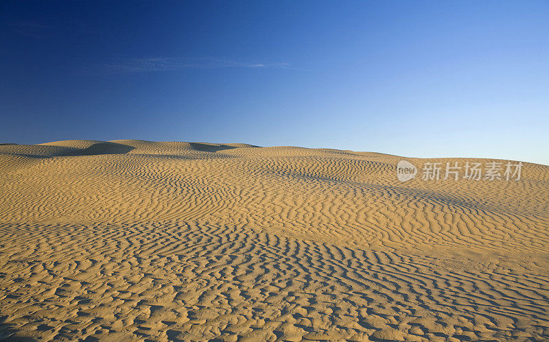 加拿大的沙丘