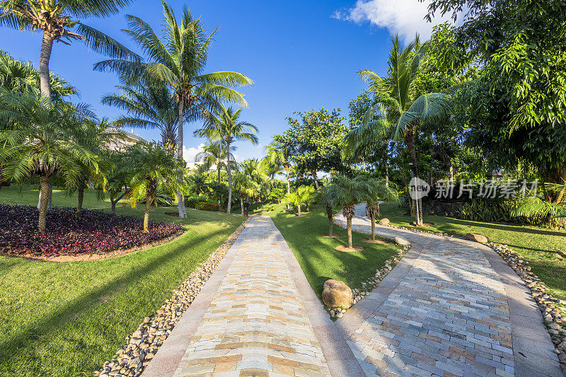 热带花园步道