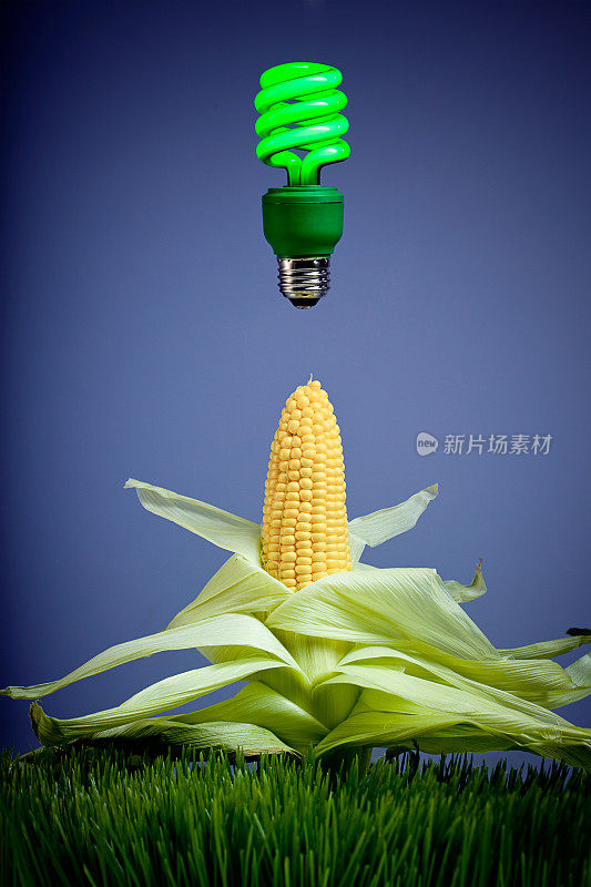 玉米绿色能源