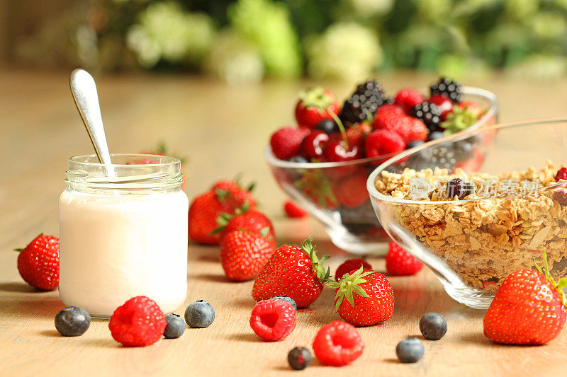 健康早餐:自制酸奶、浆果和格兰诺拉麦片