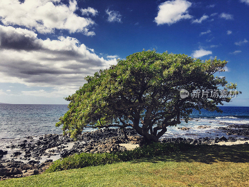 Wailea海滩，毛伊岛，夏威夷，美国