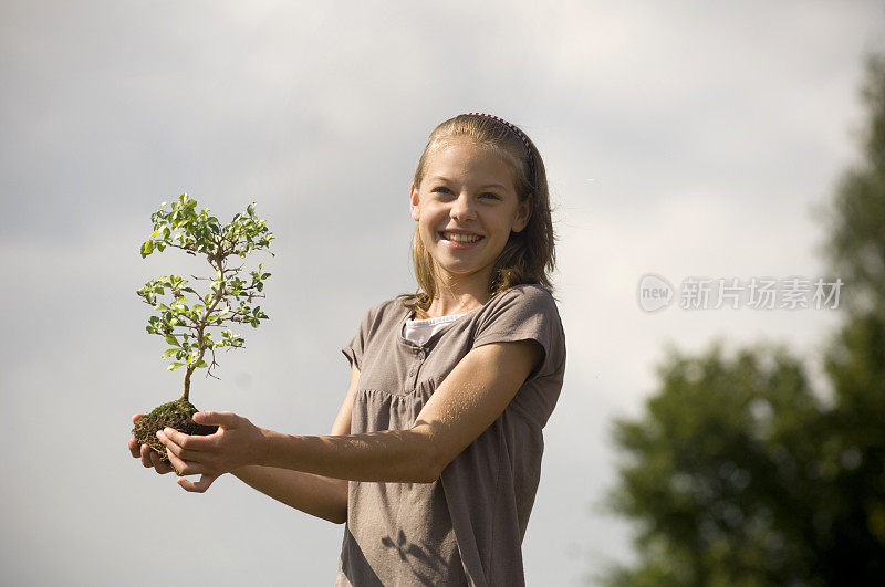 种植一棵树