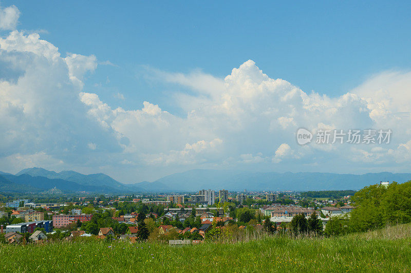 上能看到Celje