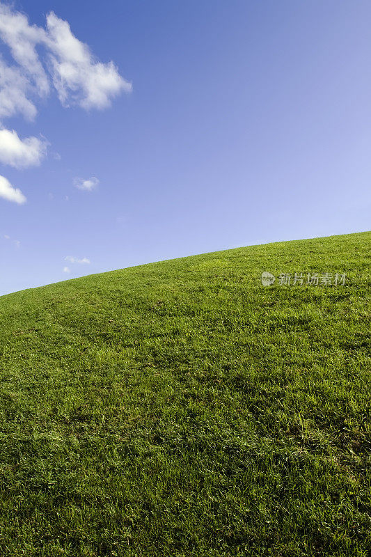 蓝天绿草地。