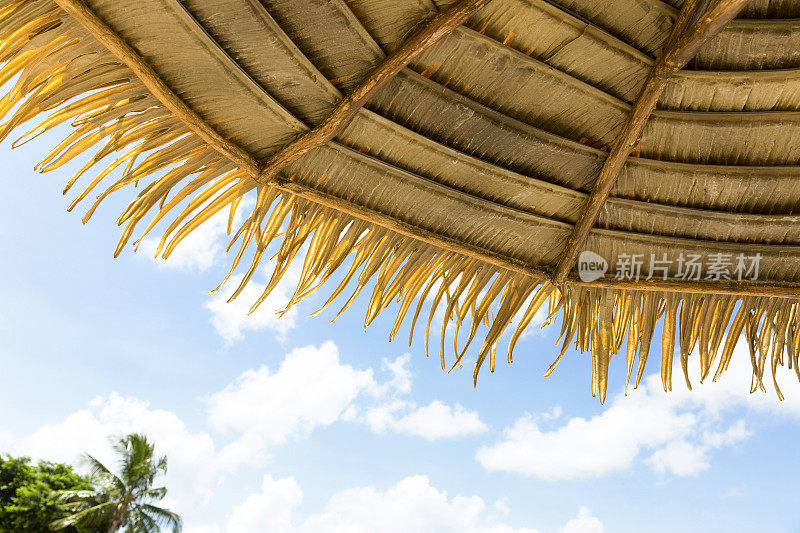伞从棕榈叶对蓝天，背景与复制空间