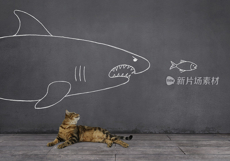 猫与鲨鱼和小鱼画在墙上