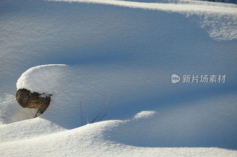 被雪覆盖的原木