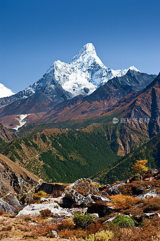 喜马拉雅山的全景——阿玛达布拉姆山