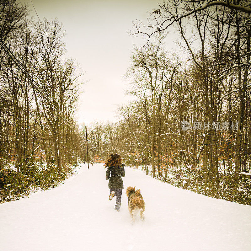 十几岁的女孩在冬天的森林里和狗玩耍