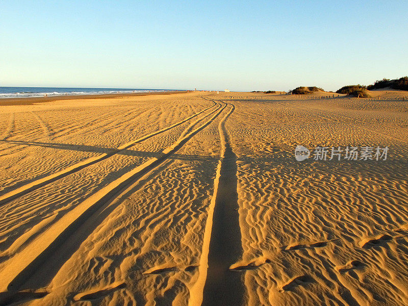 马斯帕洛马斯海滩和沙丘(大加那利岛)