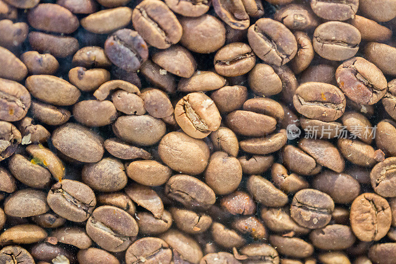 特写土耳其咖啡豆