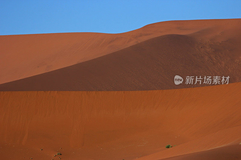 纳米比亚:美丽的红色沙丘在纳米布沙漠