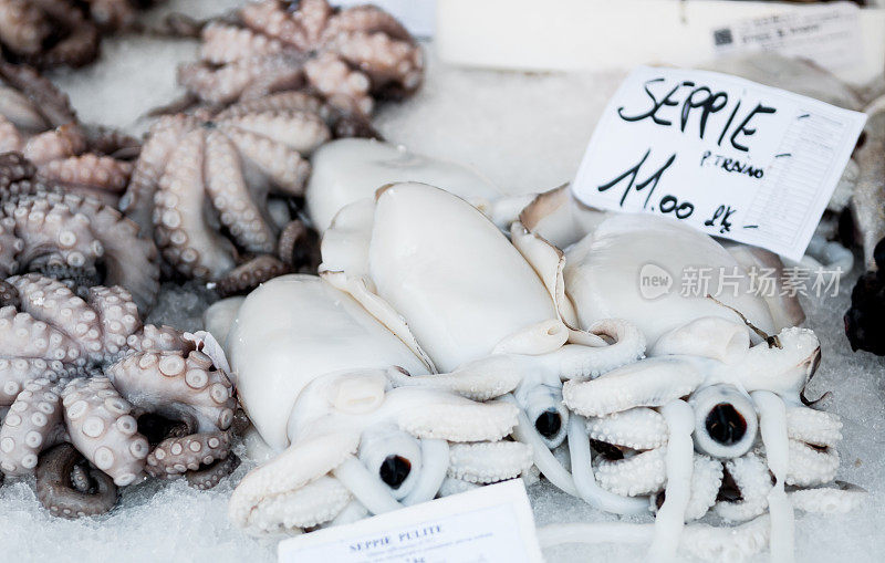 乌迪内鱼市出售大乌贼和章鱼
