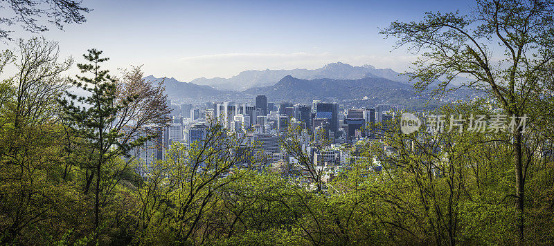 韩国首尔市区摩天大楼透过绿林山全景