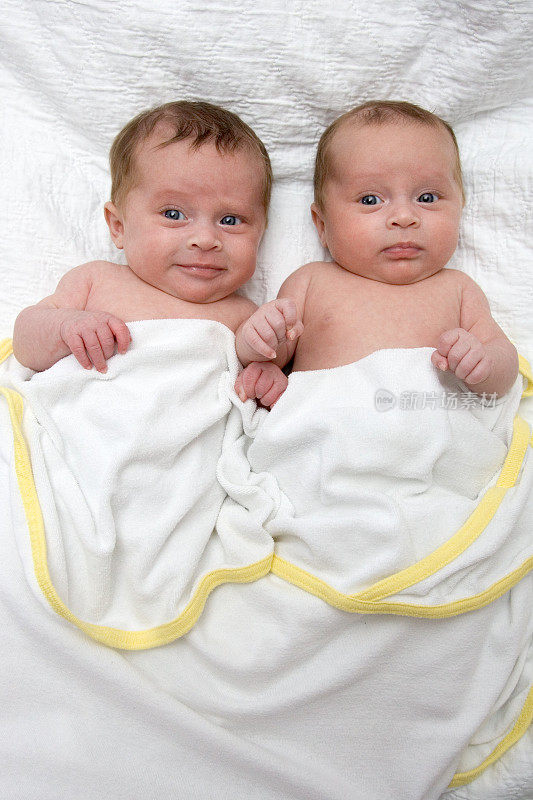 人-双胞胎宝宝