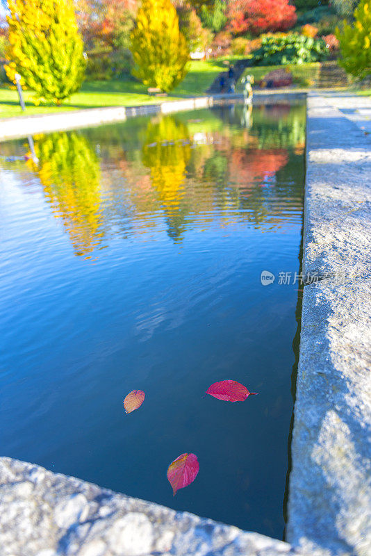 哥德堡植物园的池塘