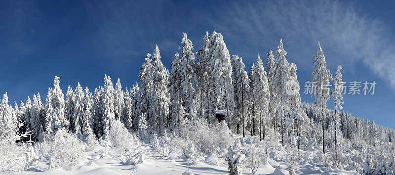 白雪皑皑的冬季景观在黑森林与街道