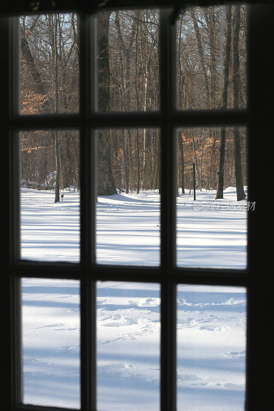 窗外的雪和树林