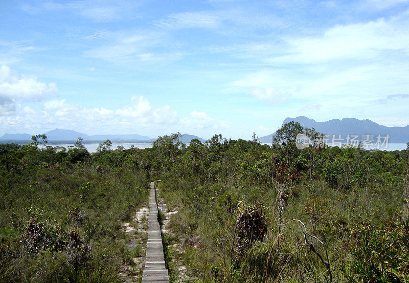 马来西亚沙捞越Bako国家公园的步道