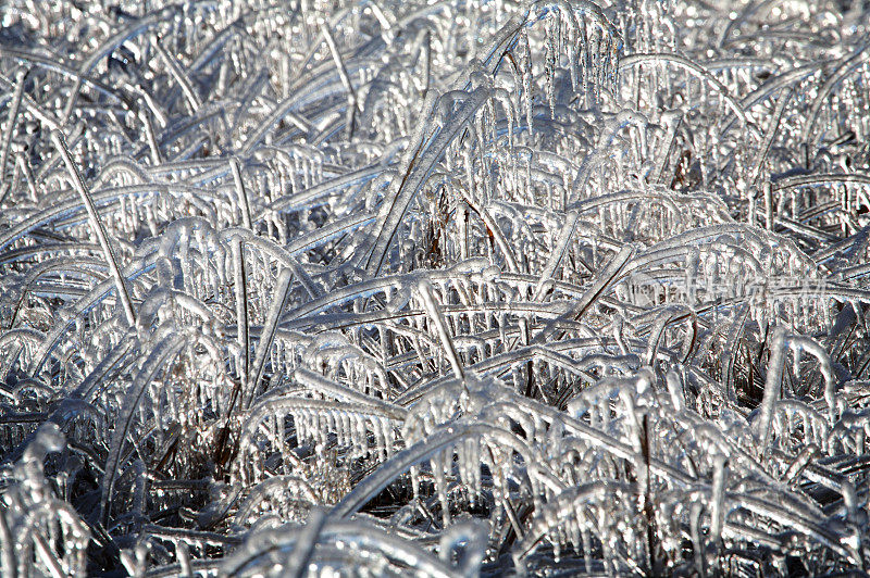 冬天的场景-冰风暴冰冻了草冰柱