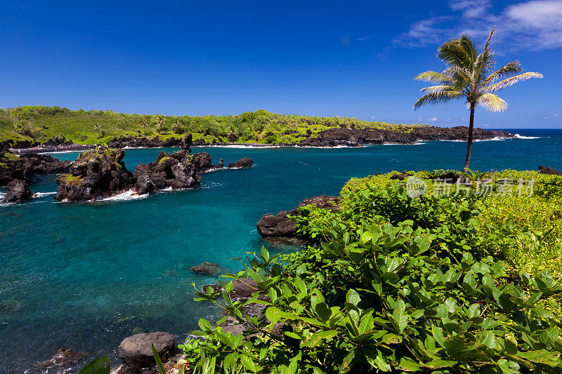 夏威夷毛伊岛，有棕榈树和蓝色海洋的田园海湾