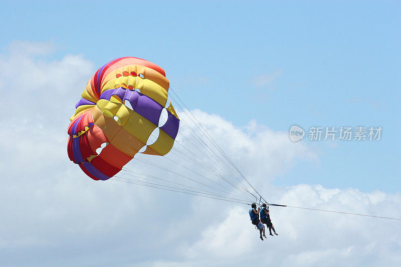 在天空中自由飞翔