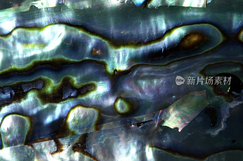 微距拍摄的海贝的珍珠纹理背景