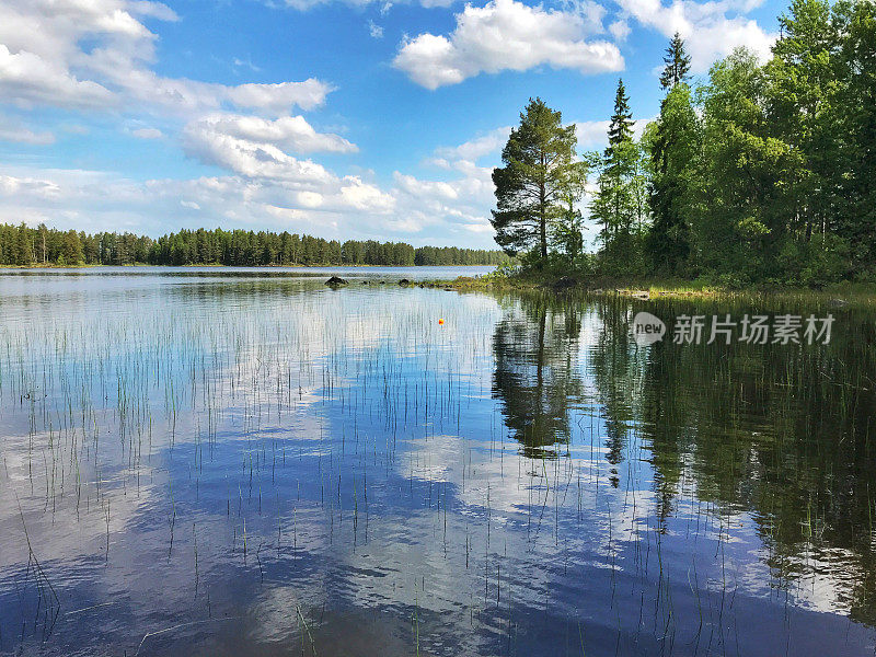 风景与美丽的云景和松树倒映在湖里，加斯特里克兰，瑞典