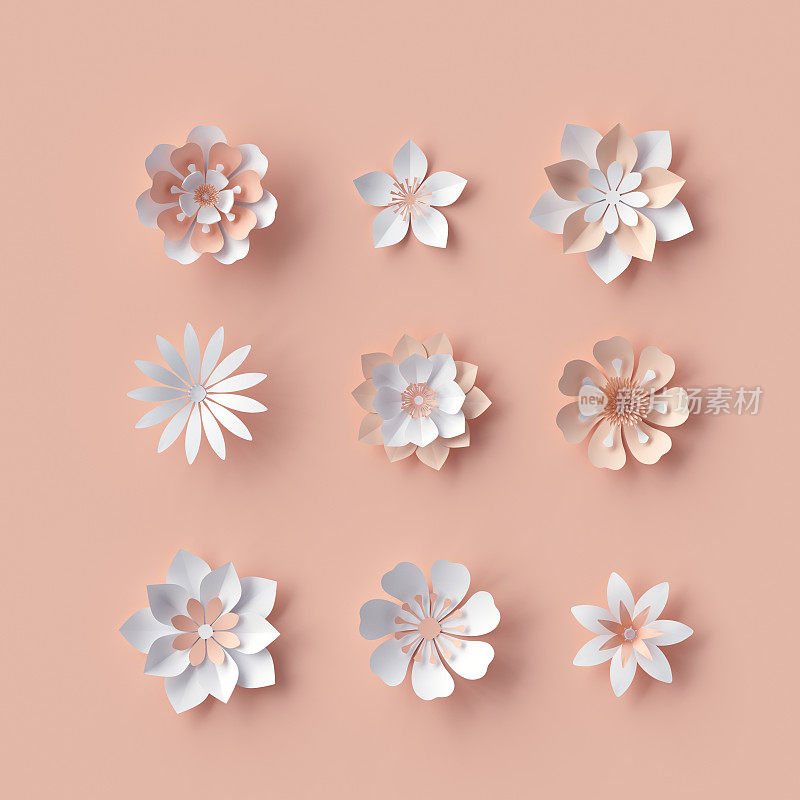 3d渲染，抽象纸花，装饰新娘花束，孤立的花卉设计元素，桃红色背景