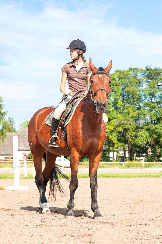 十几岁的女孩骑着纯种马。充满活力的夏季户外活动