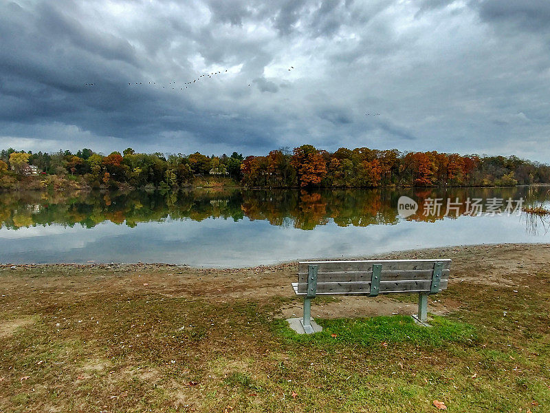 空长凳，秋天树叶，柯林斯湖，斯科舍，斯克内克塔迪县，纽约