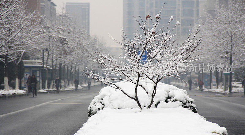 雪在杭州