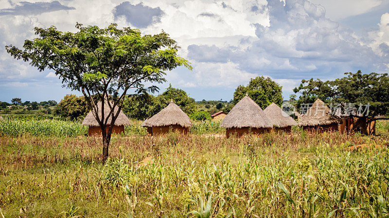 典型的乌干达的小屋。