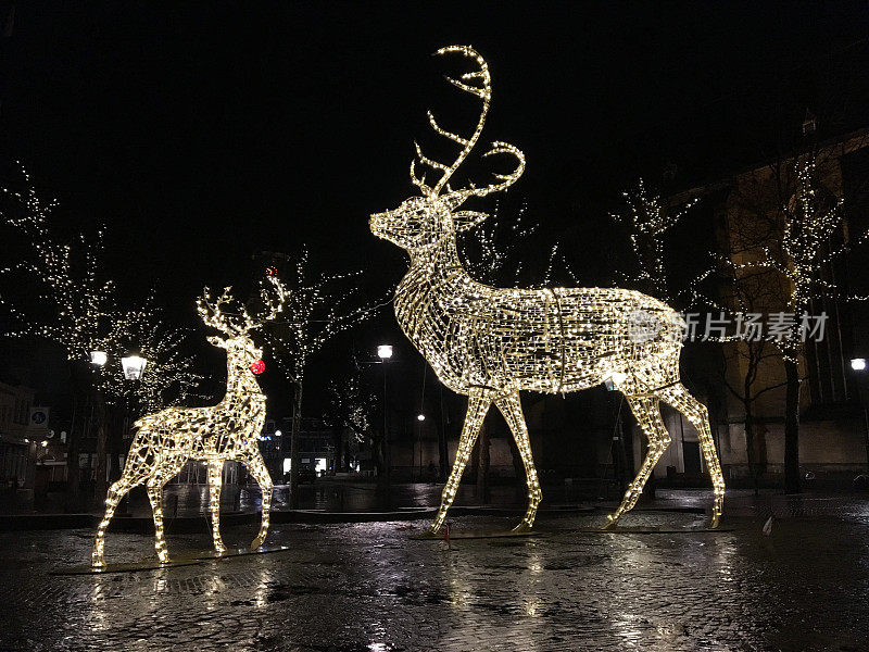 圣诞灯鹿装饰前的市政厅与雪在一个寒冷的冬夜