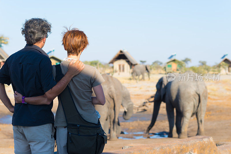 一对拥抱的夫妇看着象群从水坑喝水。非洲的探险和野生动物狩猎之旅。人们旅行的概念。