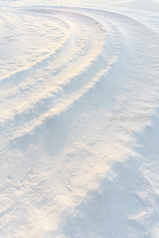 雪地上的轮胎印