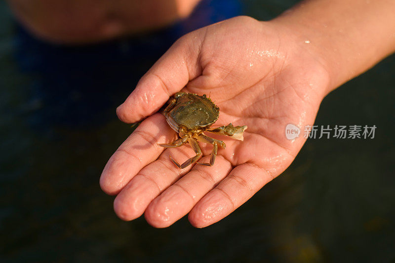 手牵小螃蟹