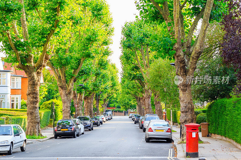 伦敦西汉普斯特德的街道两旁有树
