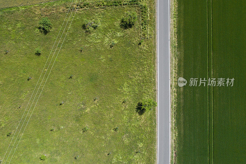 穿越乡村景色的道路