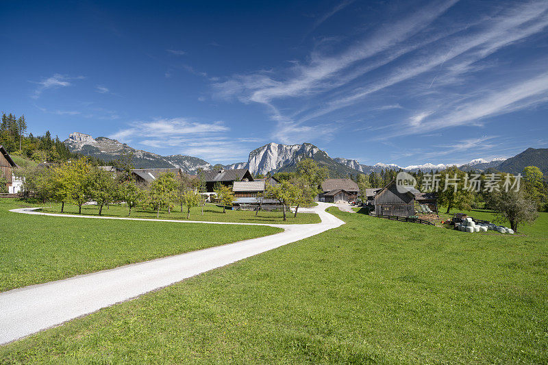农场牧场，奥地利，奥地利阿尔卑斯山