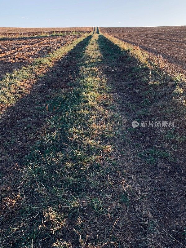 在田野中间的一条上升的草地小路