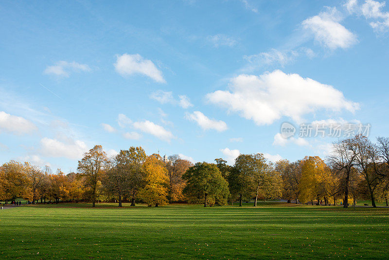 英国格林威治公园秋天的树木和大草坪全景